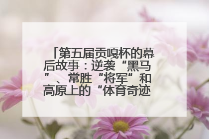 第五届贡嘎杯的幕后故事：逆袭“黑马”、常胜“将军”和高原上的“体育奇迹”丨微纪录