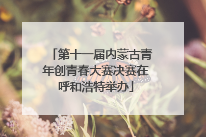 第十一届内蒙古青年创青春大赛决赛在呼和浩特举办