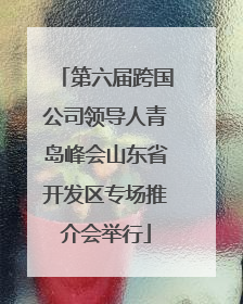 第六届跨国公司领导人青岛峰会山东省开发区专场推介会举行