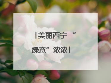 美丽西宁 “绿意”浓浓