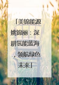 美锦能源姚锦丽：深耕氢能蓝海，领航绿色未来
