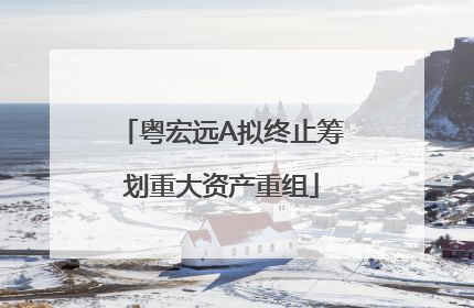 粤宏远A拟终止筹划重大资产重组