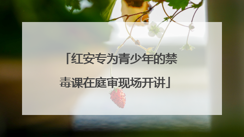 红安专为青少年的禁毒课在庭审现场开讲