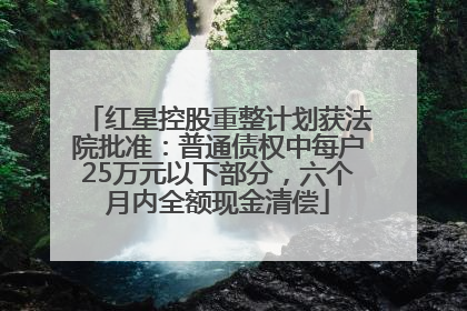 红星控股重整计划获法院批准：普通债权中每户25万元以下部分，六个月内全额现金清偿