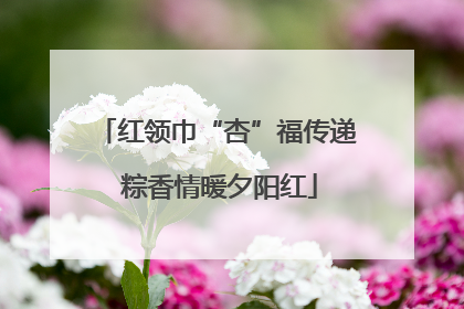 红领巾“杏”福传递 粽香情暖夕阳红