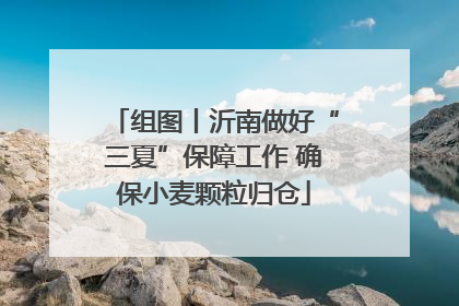 组图丨沂南做好“三夏”保障工作 确保小麦颗粒归仓
