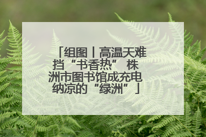 组图丨高温天难挡“书香热” 株洲市图书馆成充电纳凉的“绿洲”