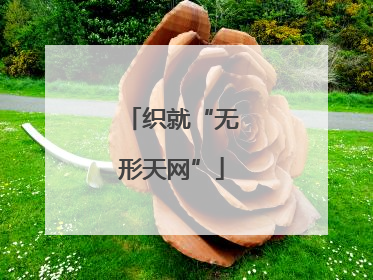 织就“无形天网”