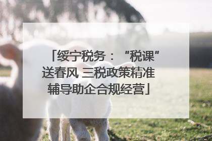 绥宁税务：“税课”送春风 三税政策精准辅导助企合规经营