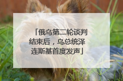 俄乌第二轮谈判结束后，乌总统泽连斯基首度发声