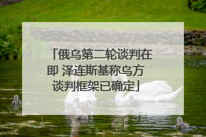 俄乌第二轮谈判在即 泽连斯基称乌方谈判框架已确定