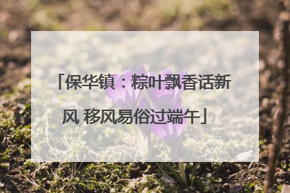 保华镇：粽叶飘香话新风 移风易俗过端午