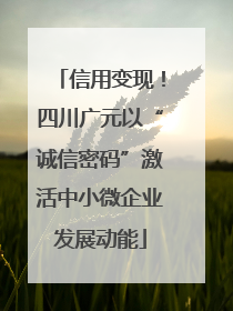 信用变现！四川广元以“诚信密码”激活中小微企业发展动能
