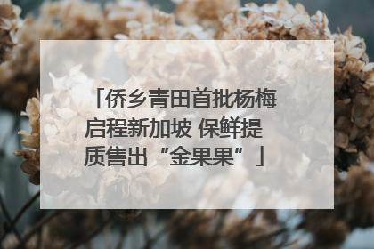 侨乡青田首批杨梅启程新加坡 保鲜提质售出“金果果”