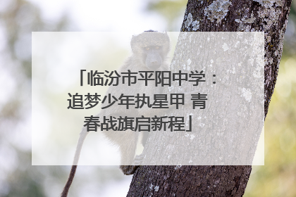临汾市平阳中学：追梦少年执星甲 青春战旗启新程