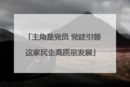 主角是党员 党建引领这家民企高质量发展