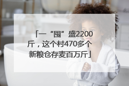 一“囤”盛2200斤，这个村470多个新粮仓存麦百万斤