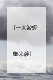 一大波螳螂来袭