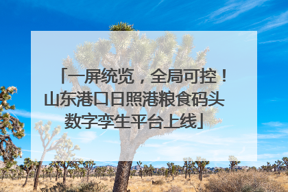 一屏统览，全局可控！山东港口日照港粮食码头数字孪生平台上线