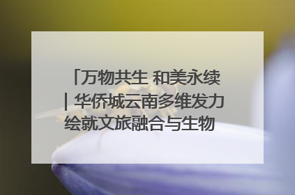 万物共生 和美永续｜华侨城云南多维发力 绘就文旅融合与生物多样性保护新图景