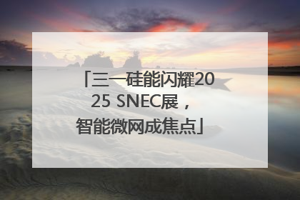 三一硅能闪耀2025 SNEC展，智能微网成焦点