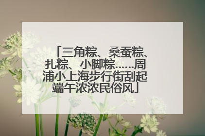 三角粽、桑蚕粽、扎粽、小脚粽……周浦小上海步行街刮起端午浓浓民俗风