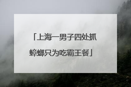 上海一男子四处抓蟑螂只为吃霸王餐