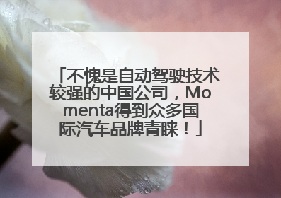 不愧是自动驾驶技术较强的中国公司，Momenta得到众多国际汽车品牌青睐！