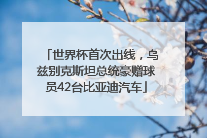 世界杯首次出线，乌兹别克斯坦总统豪赠球员42台比亚迪汽车