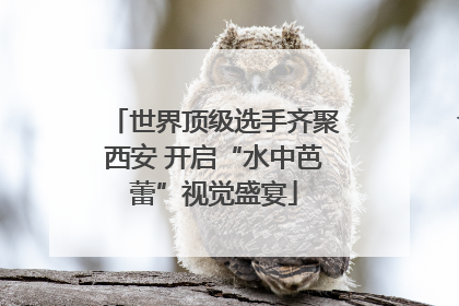 世界顶级选手齐聚西安 开启“水中芭蕾”视觉盛宴