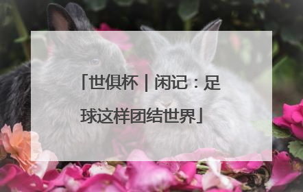 世俱杯｜闲记：足球这样团结世界