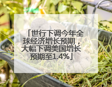 世行下调今年全球经济增长预期，大幅下调美国增长预期至1.4%