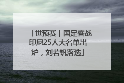 世预赛｜国足客战印尼25人大名单出炉，刘若钒落选
