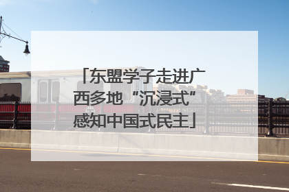 东盟学子走进广西多地“沉浸式”感知中国式民主