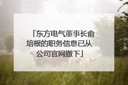 东方电气董事长俞培根的职务信息已从公司官网撤下