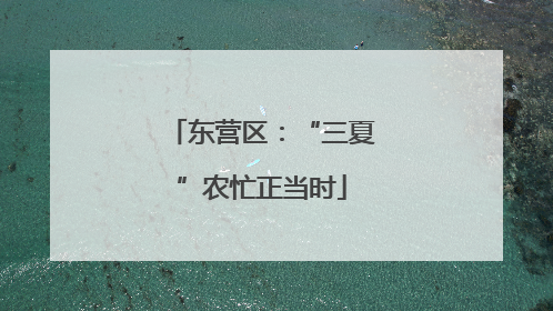 东营区：“三夏”农忙正当时