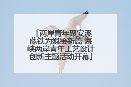 两岸青年聚安溪 藤铁为媒绘新篇 海峡两岸青年工艺设计创新主题活动开幕