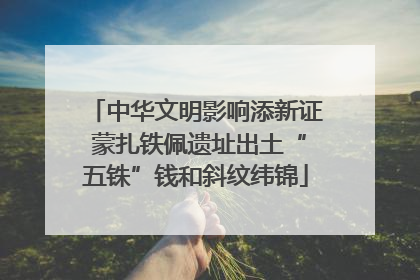 中华文明影响添新证 蒙扎铁佩遗址出土“五铢”钱和斜纹纬锦