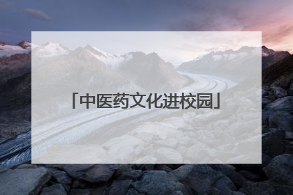 中医药文化进校园