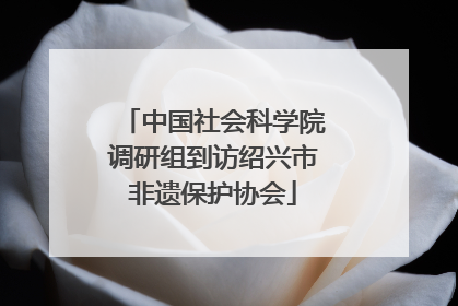中国社会科学院调研组到访绍兴市非遗保护协会