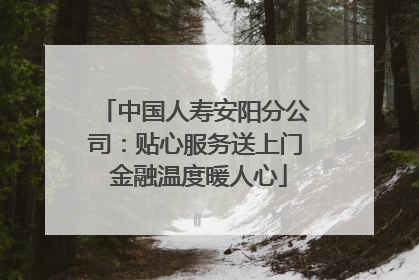 中国人寿安阳分公司：贴心服务送上门 金融温度暖人心