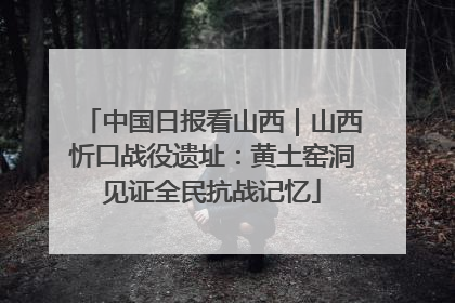 中国日报看山西｜山西忻口战役遗址：黄土窑洞见证全民抗战记忆