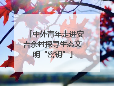 中外青年走进安吉余村探寻生态文明“密钥”
