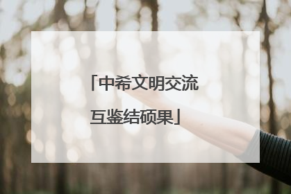中希文明交流互鉴结硕果