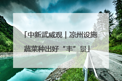 中新武威观｜凉州设施蔬菜种出好“丰”景