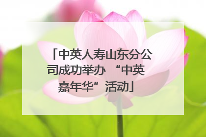 中英人寿山东分公司成功举办 “中英嘉年华”活动