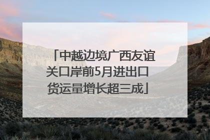 中越边境广西友谊关口岸前5月进出口货运量增长超三成