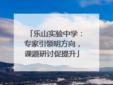 乐山实验中学：专家引领明方向，课题研讨促提升