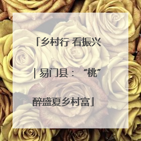乡村行 看振兴｜易门县：“桃”醉盛夏乡村富