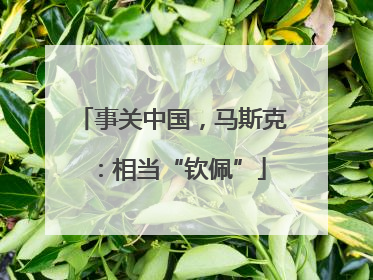 事关中国，马斯克：相当“钦佩”